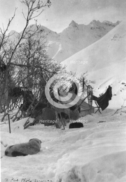 Explorer's tent and belongings anchored securely so they won't be blown away, c1900-c1930. Creator: Unknown.