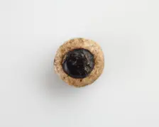 Eye-bead, with a horizontal bore, Possibly Ptolemaic Dynasty, 305-30 BCE. Creator: Unknown