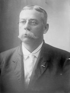 F.E. Warren, 1919. Creator: Bain News Service