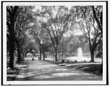 Fountain in frog pond, the Common, Boston, Mass., between 1890 and 1899. Creator: Unknown