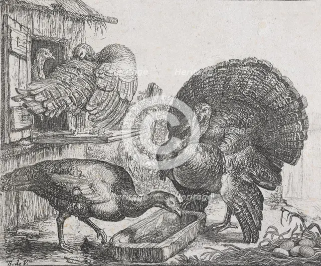Four turkeys,  1615-1653. Creator: Simon de Vlieger.