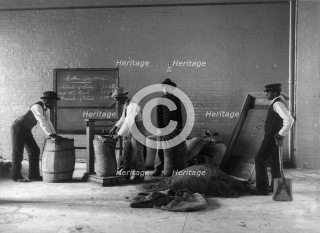 Four young men mixing fertilizers, Hampton Institute, Hampton, Va., 1899 or 1900. Creator: Frances Benjamin Johnston.