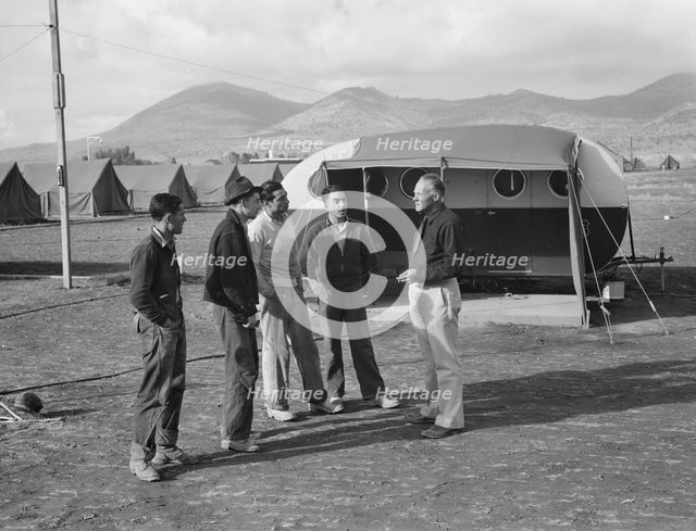 Four young migratory potato pickers..., FSA camp, Merrill, Klamath County, Oregon, 1939. Creator: Dorothea Lange.