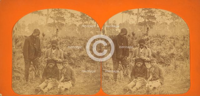 Four African-American boys, c1850-c1930. Creator: Isaac Haas.