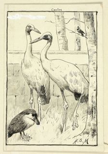 Four Birds in Landscape, n.d. Creator: Henry Stacy Marks