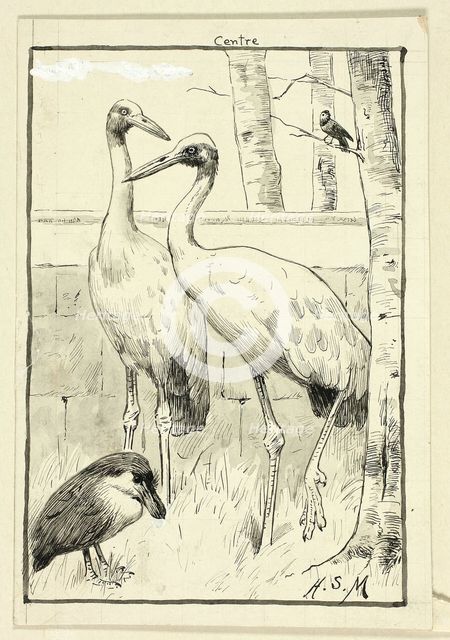 Four Birds in Landscape, n.d. Creator: Henry Stacy Marks.