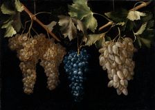 Four Bunches of hanging Grapes, c1636. Creator: Juan Fernandez el Labrador