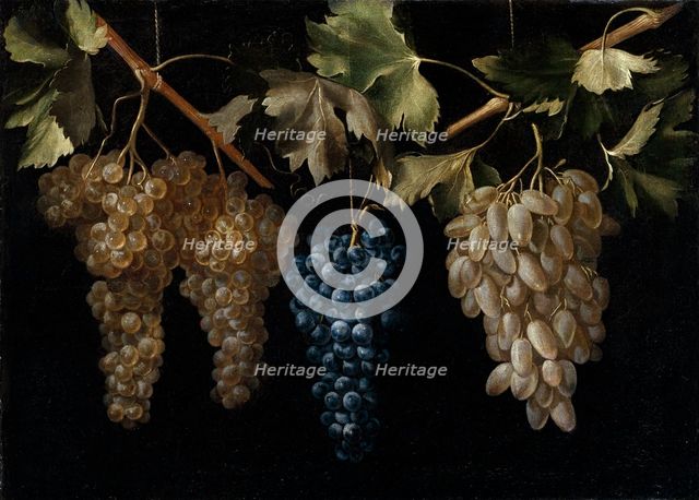 Four Bunches of hanging Grapes, c1636. Creator: Juan Fernandez el Labrador.