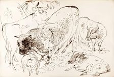 Four Cows and A Sheep, 1825-1839. Creator: James Howe