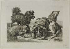 Four Dogs, from Die Zweite Thierfolge, 1799/1803. Creator: Johann Christian Reinhart