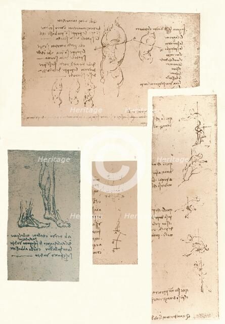 Four drawings illustrating the theory of the movements of the human figure, c1472-c1519 (1883). Artist: Leonardo da Vinci.