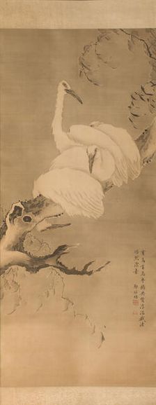 Four egrets on a branch, between 1730 and 1740. Creator: Pei Zheng