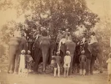 Four Elephants with Western Travellers and Attendants, Jaipur, India, 1860s-70s. Creator: Unknown