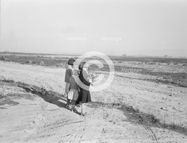 Four of the seven Browning children wait for the school bus..., Dead Ox Flat, Oregon, 1939. Creator: Dorothea Lange.