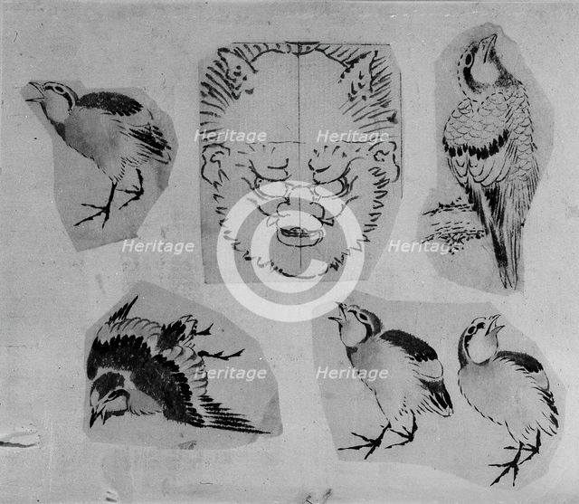 Four sketches of birds and one design for a grotesque mask, mounted together, 18th-19th century. Creator: School of Katsushika Hokusai.
