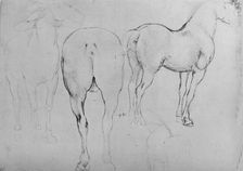 Four Sketches of Horses c1480 (1945). Artist: Leonardo da Vinci