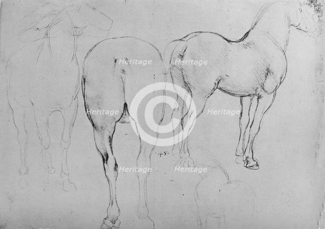 'Four Sketches of Horses', c1480 (1945). Artist: Leonardo da Vinci.