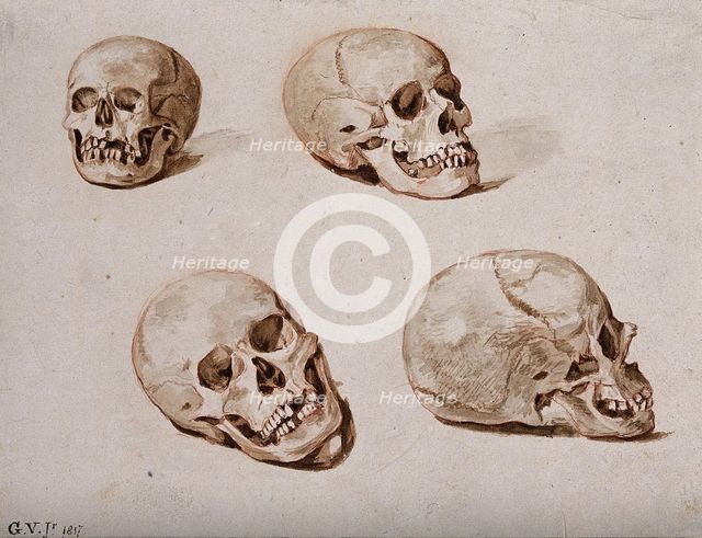 Four sketches of skulls, 1817. Creator: Unknown.
