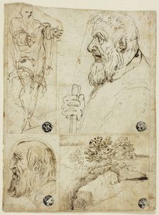 Four Sketches: Standing Male Figure; Profile Bust of Bearded Man; Profile Head of Bearded..., n.d. Creator: Agostino Carracci