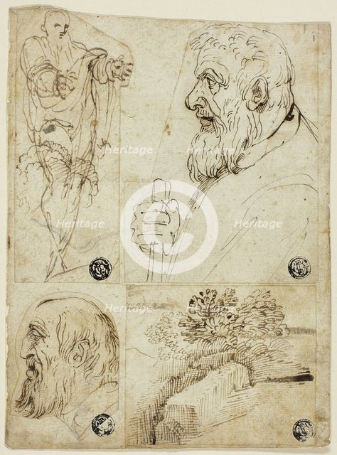 Four Sketches: Standing Male Figure; Profile Bust of Bearded Man; Profile Head of Bearded..., n.d. Creator: Agostino Carracci.