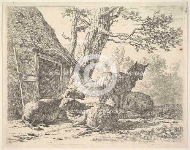 Four sheep, one sheep stands among three others lying on the ground next to a shed with th..., 1658. Creator: Karel Du Jardin.
