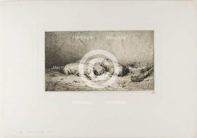 Four Sleeping Pigs, 1850. Creator: Charles Emile Jacque.