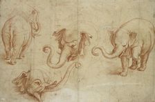 Four Studies of an Elephant, early 16th century. Artist: Giulio Romano