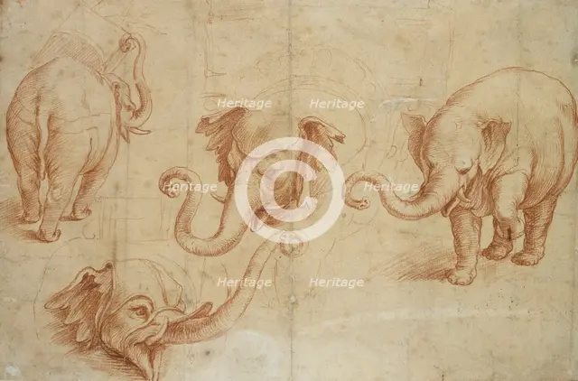 Four Studies of an Elephant, early 16th century. Artist: Giulio Romano.