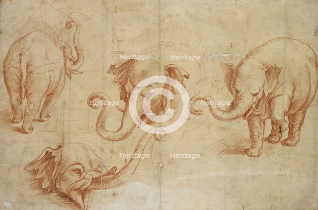 Four Studies of an Elephant, early 16th century. Artist: Giulio Romano.