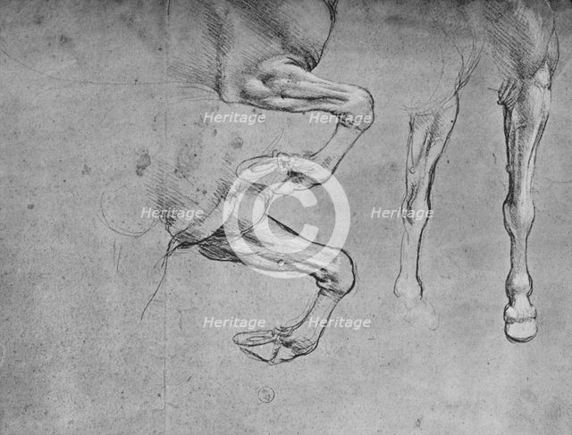 'Four Studies of Horses' Legs', c1480 (1945). Artist: Leonardo da Vinci.