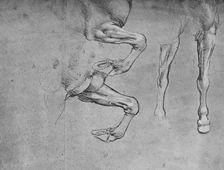 Four Studies of Horses Legs c1480 (1945). Artist: Leonardo da Vinci