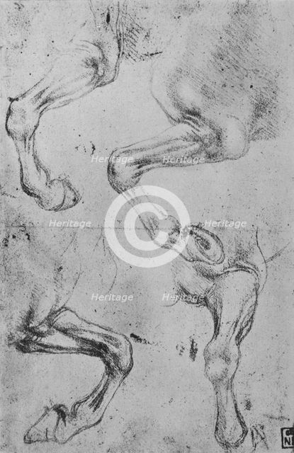 'Four Studies of Horses' Legs', c1480 (1945). Artist: Leonardo da Vinci.