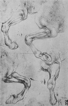 Four Studies of Horses Legs c1480 (1945). Artist: Leonardo da Vinci