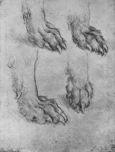 Four Studies of the Paws of a Dog or Wolf c1480 (1945). Artist: Leonardo da Vinci