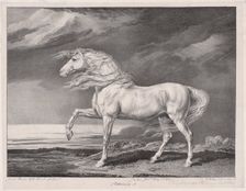 Fourteen Celebrated Horses: Adonis, 1824. Creator: James Ward (British, 1769-1859)