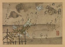 "Fourth Month" from Fujiwara no Teika’s "Birds and Flowers of the Twelve Months" , 1743. Creator: Ogata Kenzan
