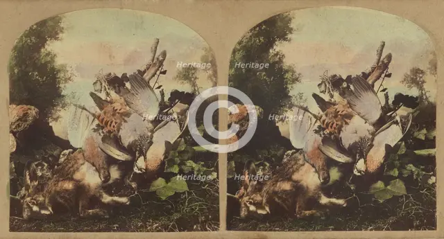 Fowl & game, about 1860. Creator: London Stereoscopic & Photographic Co.