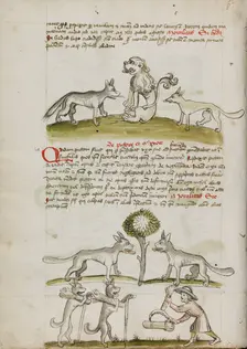 Fox and Wolf before a Lion: Two Wolves under a Tree Dragging Bales..., third quarter of 15th cent. Creator: Unknown