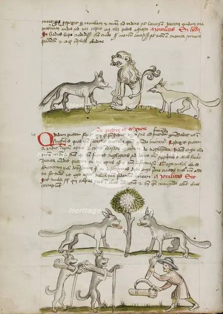 Fox and Wolf before a Lion: Two Wolves under a Tree Dragging Bales..., third quarter of 15th cent. Creator: Unknown.