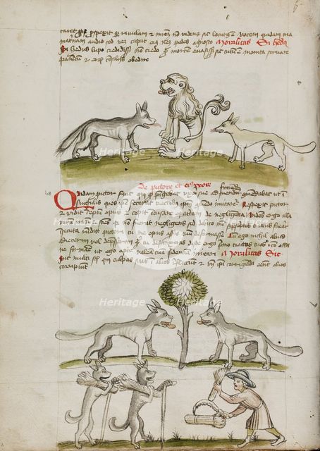 Fox and Wolf before a Lion: Two Wolves under a Tree Dragging Bales..., third quarter of 15th cent. Creator: Unknown.