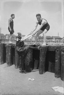 Fox, between c1915 and c1920. Creator: Bain News Service