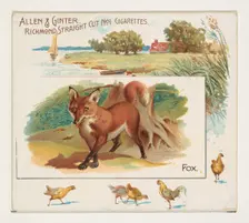 Fox, from Quadrupeds series (N41) for Allen & Ginter Cigarettes, 1890. Creator: Allen & Ginter