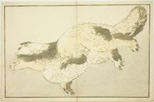 Fox, from The Picture Book of Realistic Paintings of Hokusai (Hokusai shashin gafu), Japan, c. 1814. Creator: Hokusai