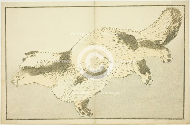 Fox, from The Picture Book of Realistic Paintings of Hokusai (Hokusai shashin gafu), Japan, c. 1814. Creator: Hokusai.