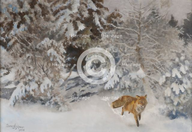 Fox in Winter Landscape, 1938. Creator: Bruno Liljefors.