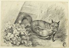 Fox Stealing a Cock, n.d. Creator: Samuel Howitt
