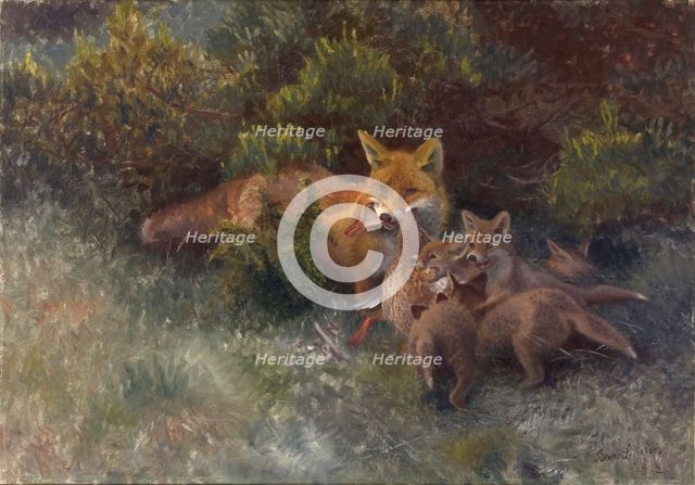 Fox with Cubs, 1912. Creator: Bruno Liljefors.