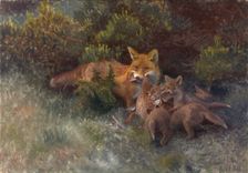Fox with Cubs, 1912. Creator: Bruno Liljefors