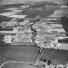 Foxash Estate, Ardleigh, Essex, 1967. Artist: Aerofilms