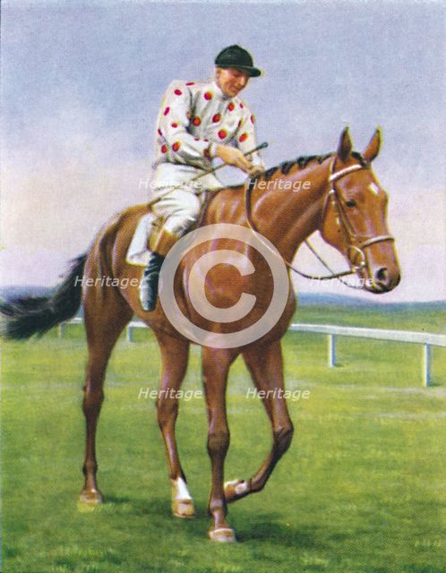 Foxbrough II, Jockey: P. Beasley', 1939. Artist: Unknown.